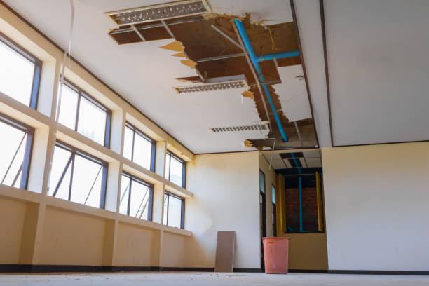 Best Water damage restoration mold remediation  in Rogers, MN