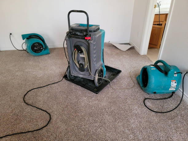 Reliable Rogers, MN Water damage restoration Solutions