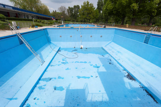 Best Ceiling water damage repair  in Rogers, MN