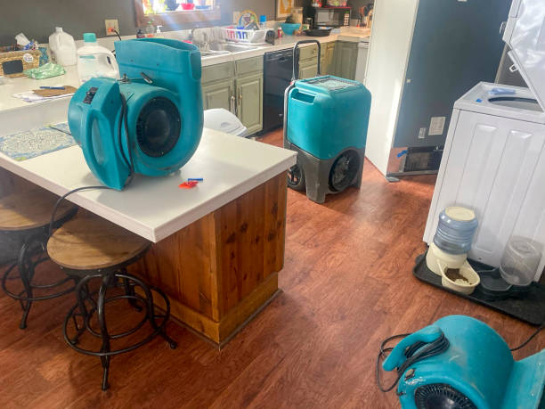 Best 24/7 water damage repair  in Rogers, MN