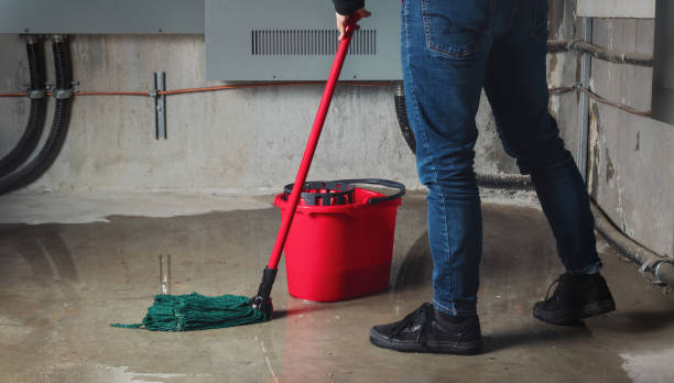 Best Water damage contractors near me  in Rogers, MN