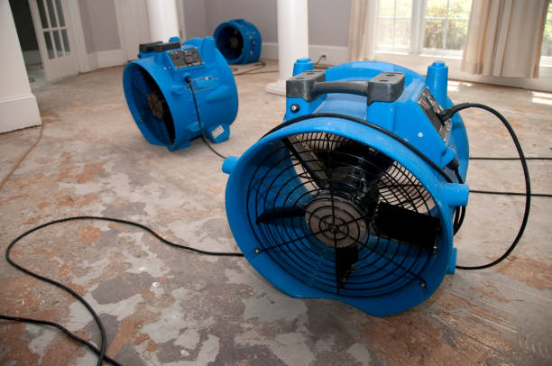 Best 24-hour water damage restoration  in Rogers, MN