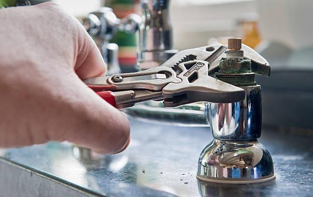 Best Residential water damage restoration  in Rogers, MN
