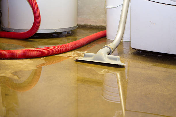 Best Flood restoration services  in Rogers, MN