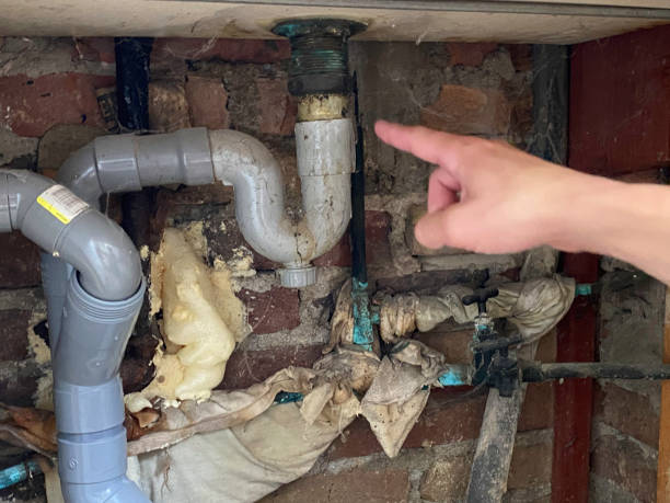 Best Commercial water damage restoration  in Rogers, MN