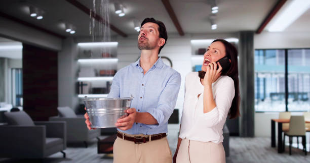 Best Emergency water damage restoration  in Rogers, MN