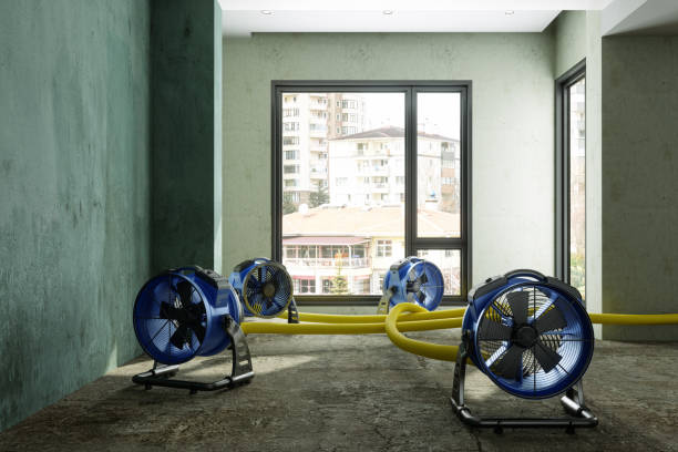 24/7 water damage repair in Rogers, MN
