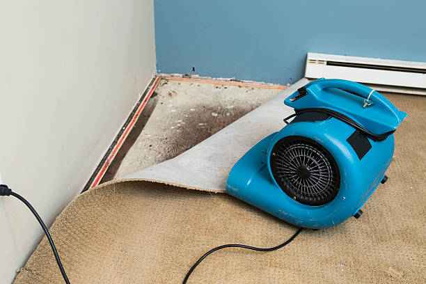 Best Sewage cleanup and water damage restoration  in Rogers, MN