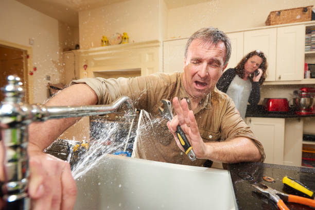 Best Local water damage restoration  in Rogers, MN